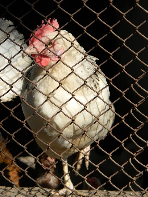 板能力和优 板能力和优