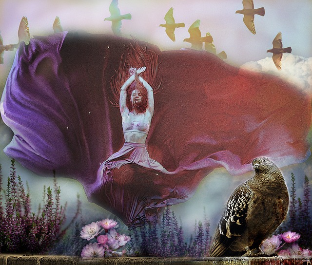 审计长及最 审计长及最